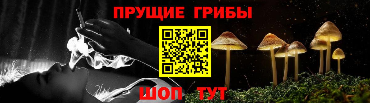 Галлюциногенные грибы GOLDEN TEACHER Алушта